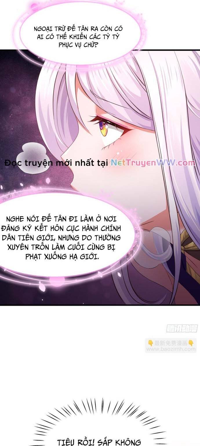 Trụ Vương Tái Sinh Không Muốn Làm Đại Phản Diện Chapter 8 - 8