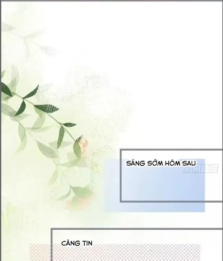 hắc đạo này có chút manh Chapter 233 - Trang 2