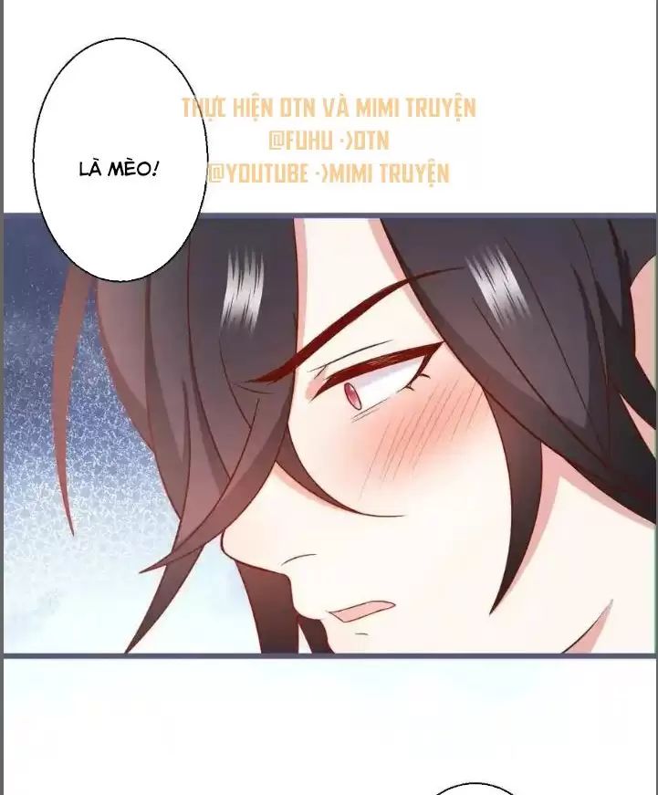 hắc đạo này có chút manh Chapter 235 - Trang 2