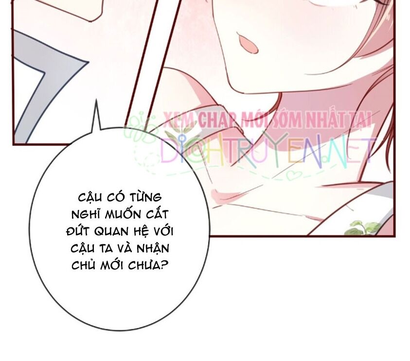 Em Là Bạc Hà Mèo Của Tôi Chapter 36 - 15