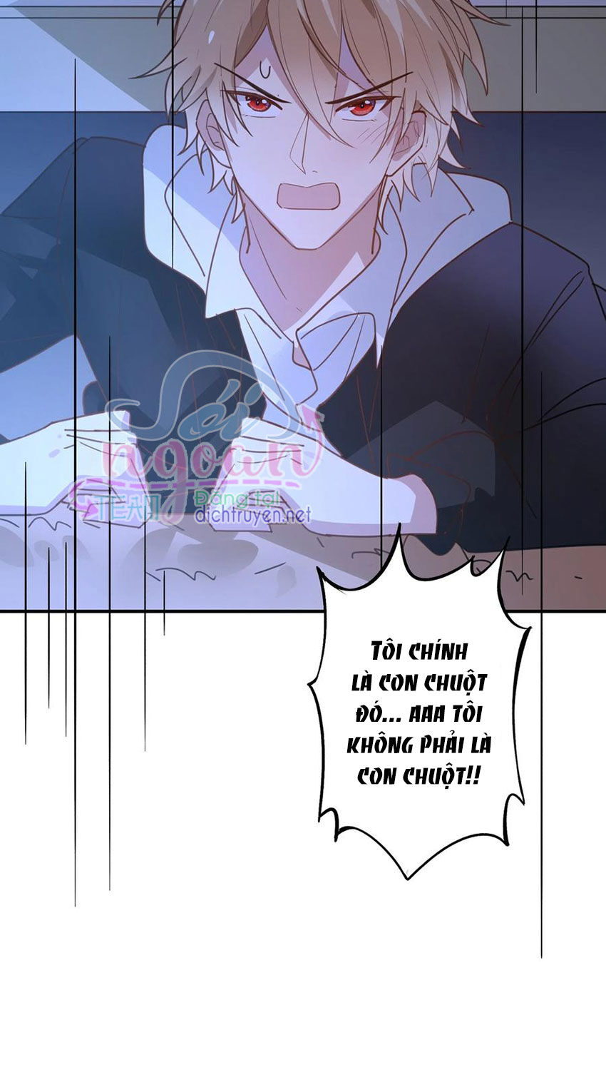 Em Là Bạc Hà Mèo Của Tôi Chapter 43 - 13