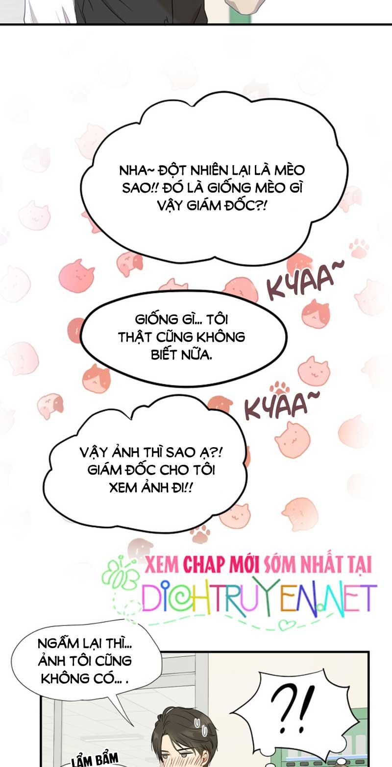 Một Cuộc Sống Kỳ Lạ Chapter 3 - 17