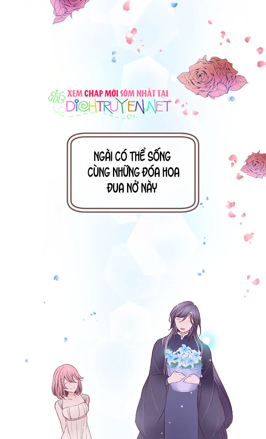 Nàng Persephone Và Chàng Hades Chapter 9 - 49