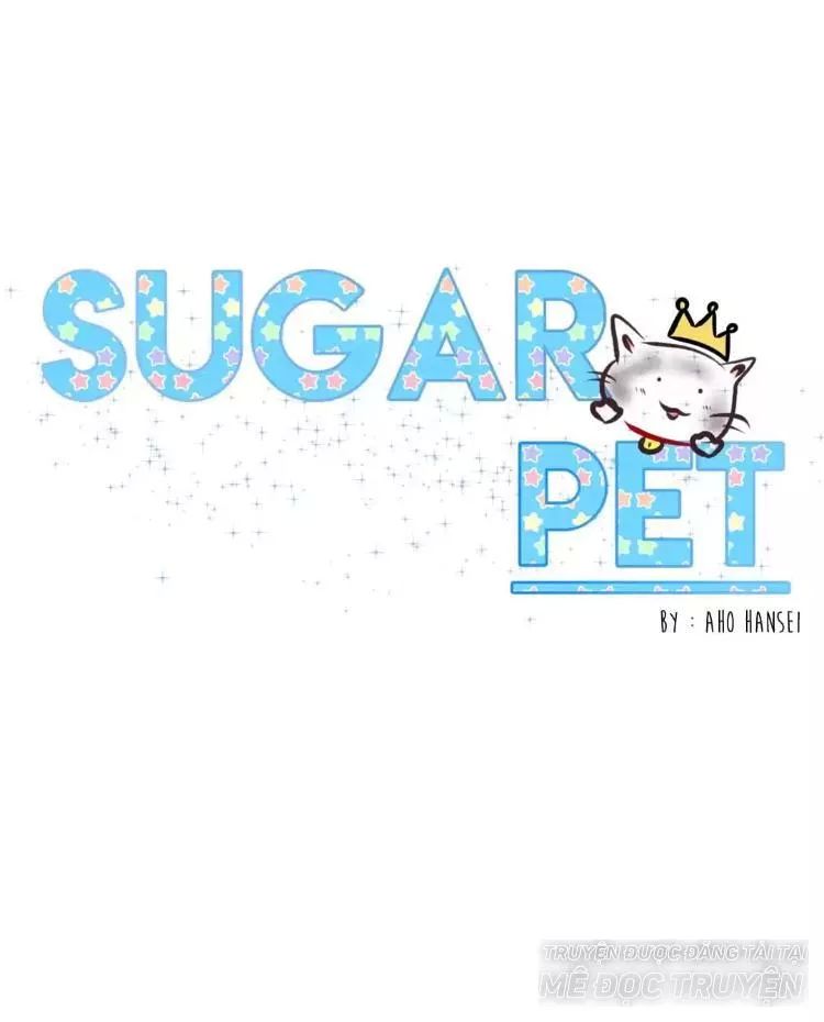 Sugar Pet Chapter 14 - 1