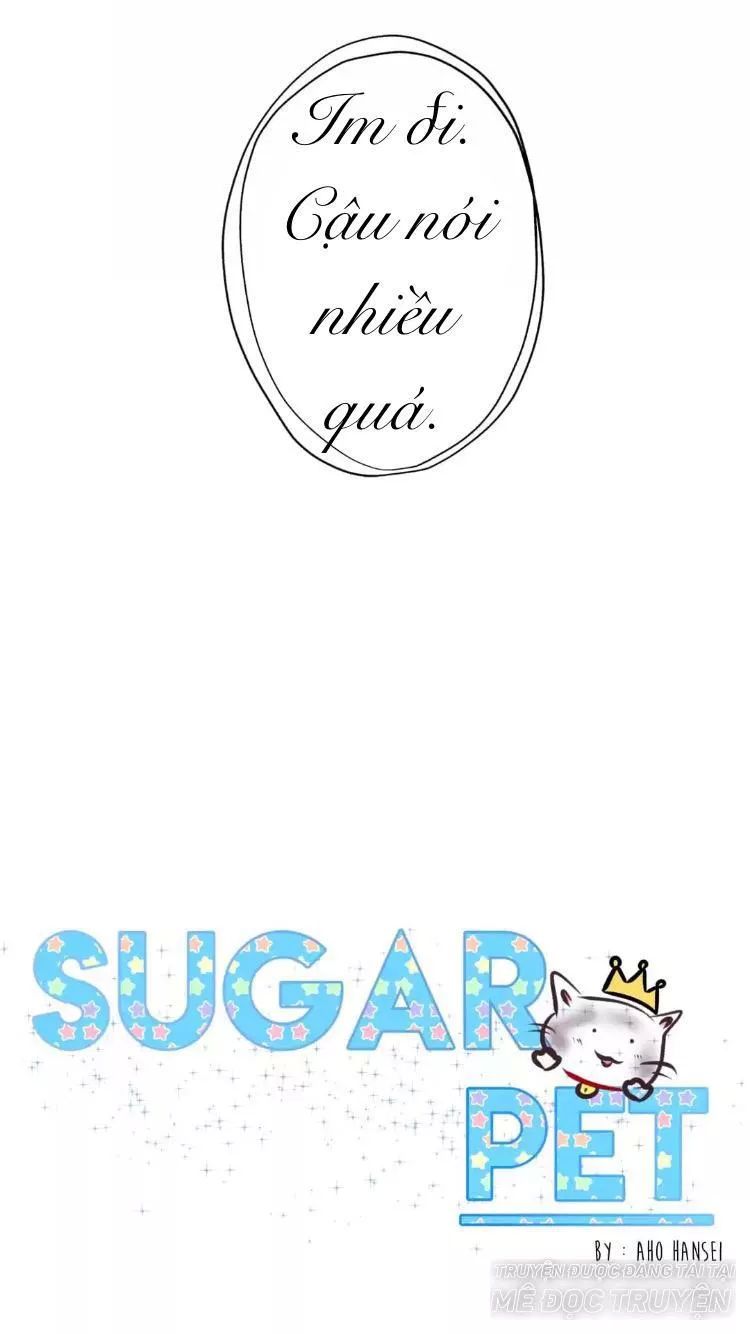 Sugar Pet Chapter 16 - 21