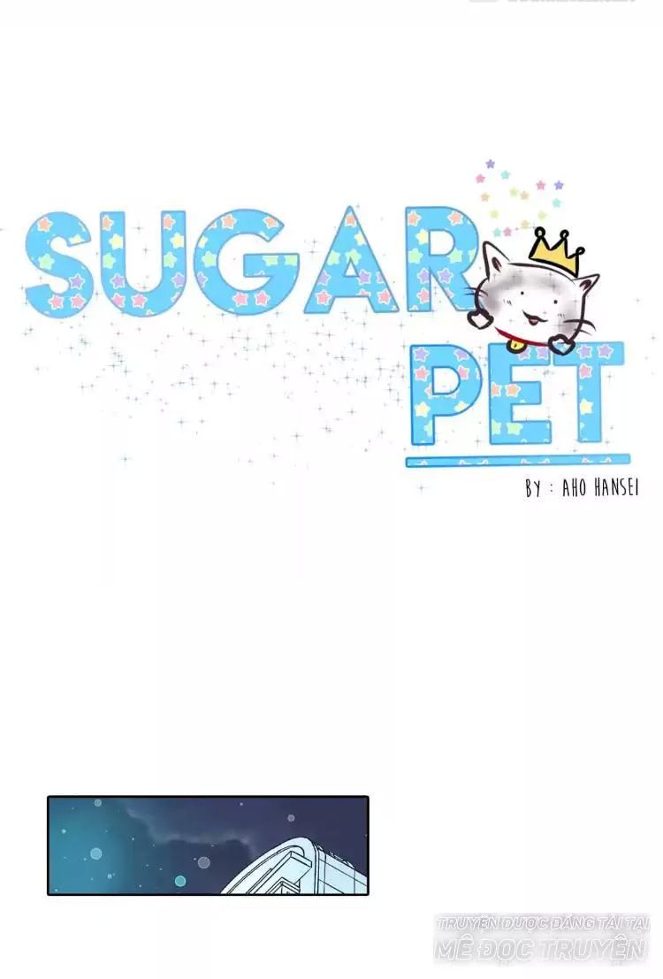 Sugar Pet Chapter 17 - 1