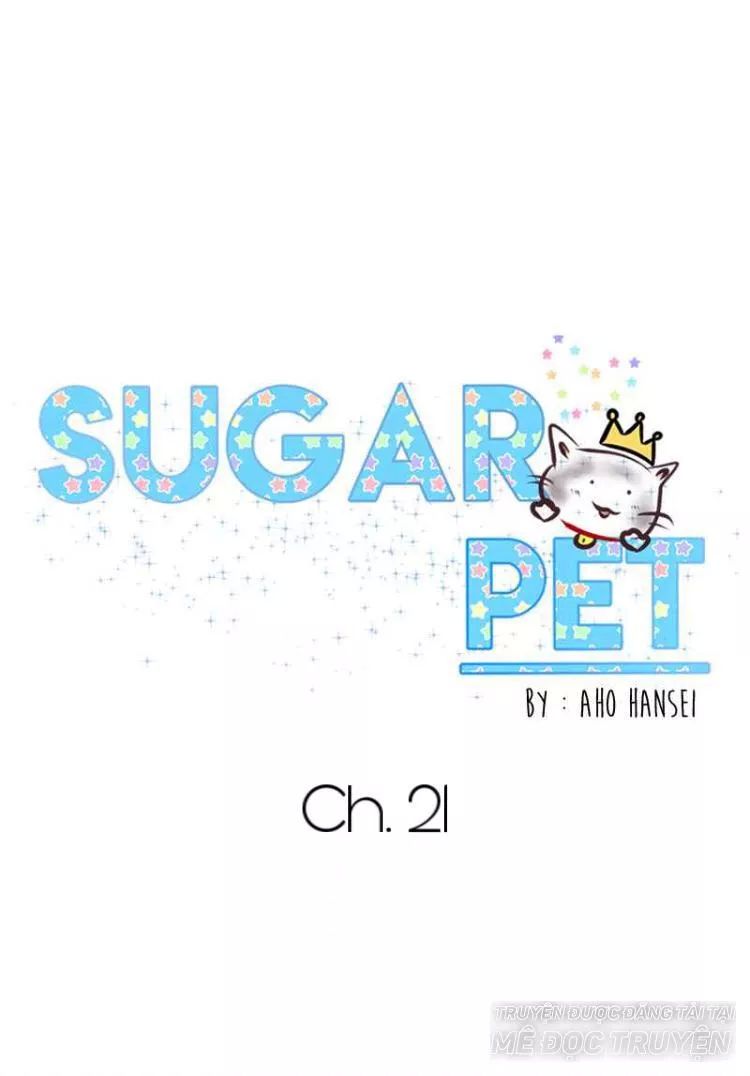 Sugar Pet Chapter 21 - 26