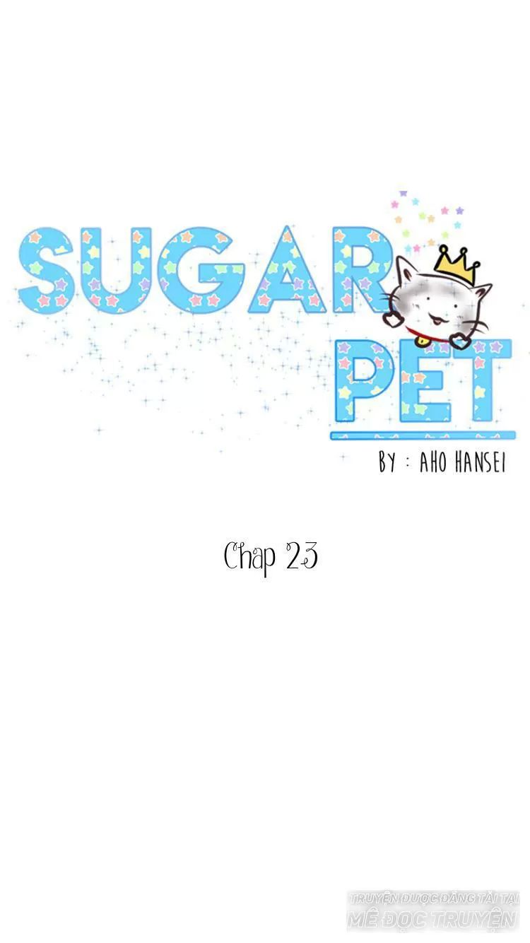 Sugar Pet Chapter 23 - 1