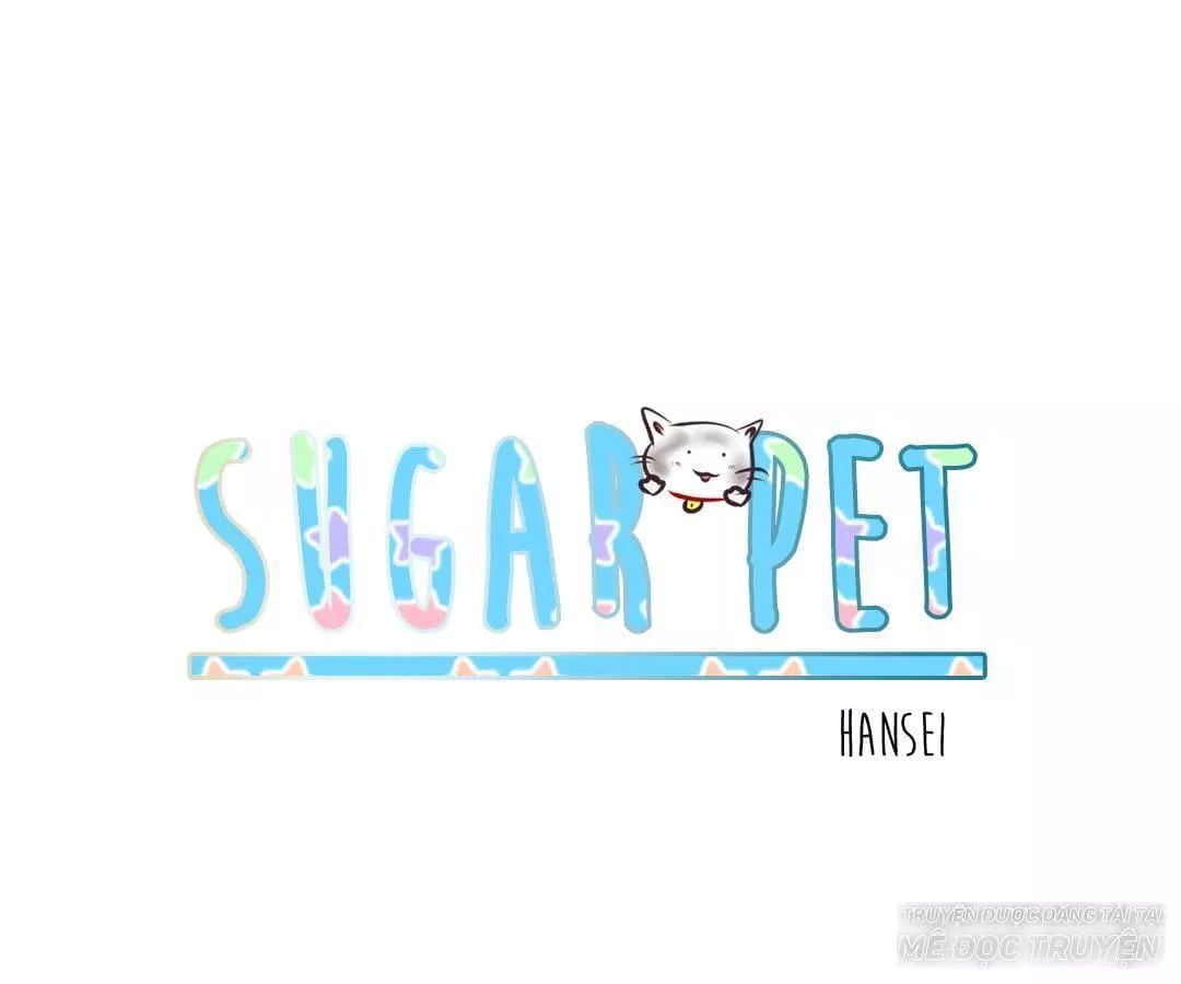 Sugar Pet Chapter 3 - 1