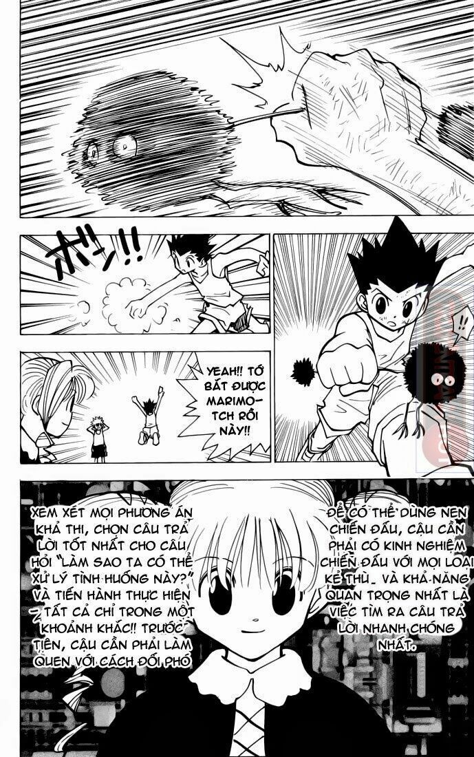 Hunter X Hunter Chapter 141 - 7