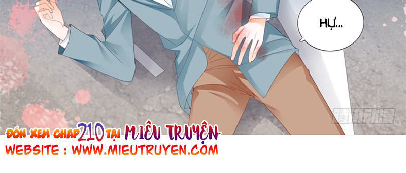 Lóe Thiểm Hôn Kiều Thê Mơ Tưởng Trốn Chapter 209 - 13