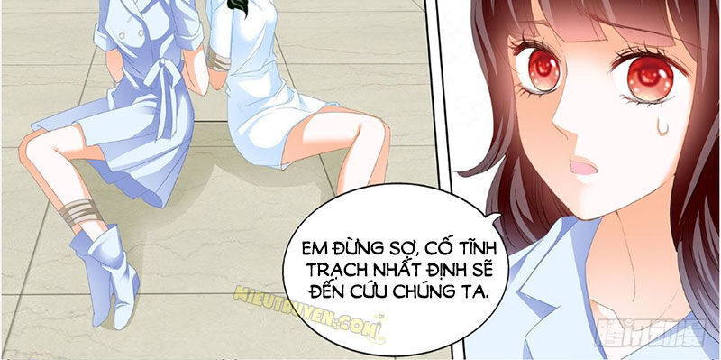 Lóe Thiểm Hôn Kiều Thê Mơ Tưởng Trốn Chapter 246 - 3