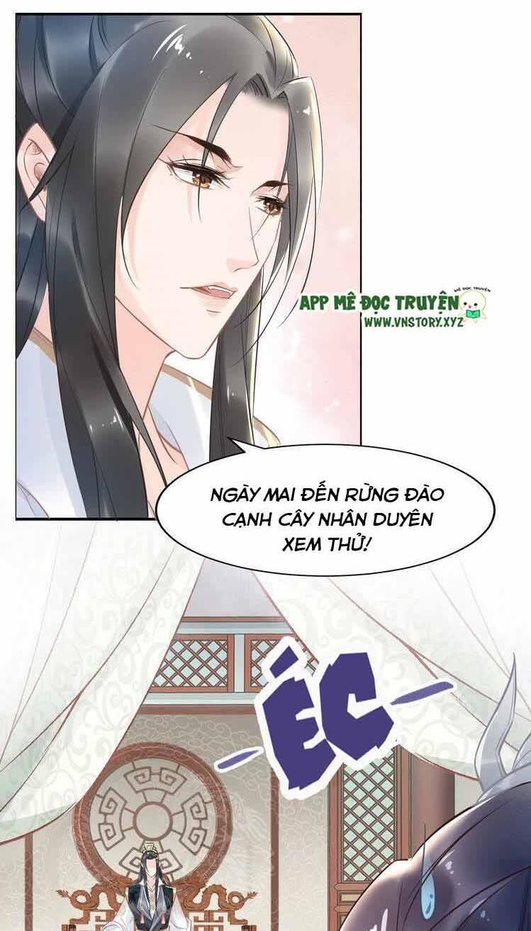 Nhất Sinh Nhất Thế Tiếu Thương Khung Chapter 28 - 16