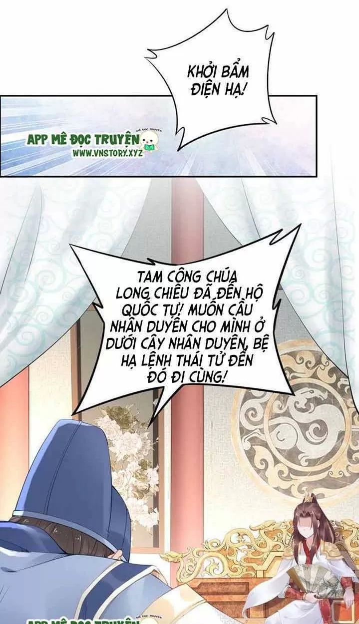 Nhất Sinh Nhất Thế Tiếu Thương Khung Chapter 33 - 41