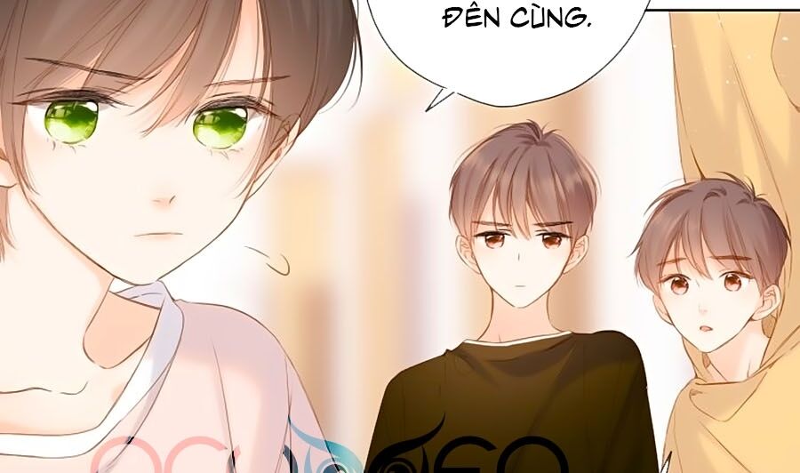 Lại Gặp Được Em Chapter 68 - 12