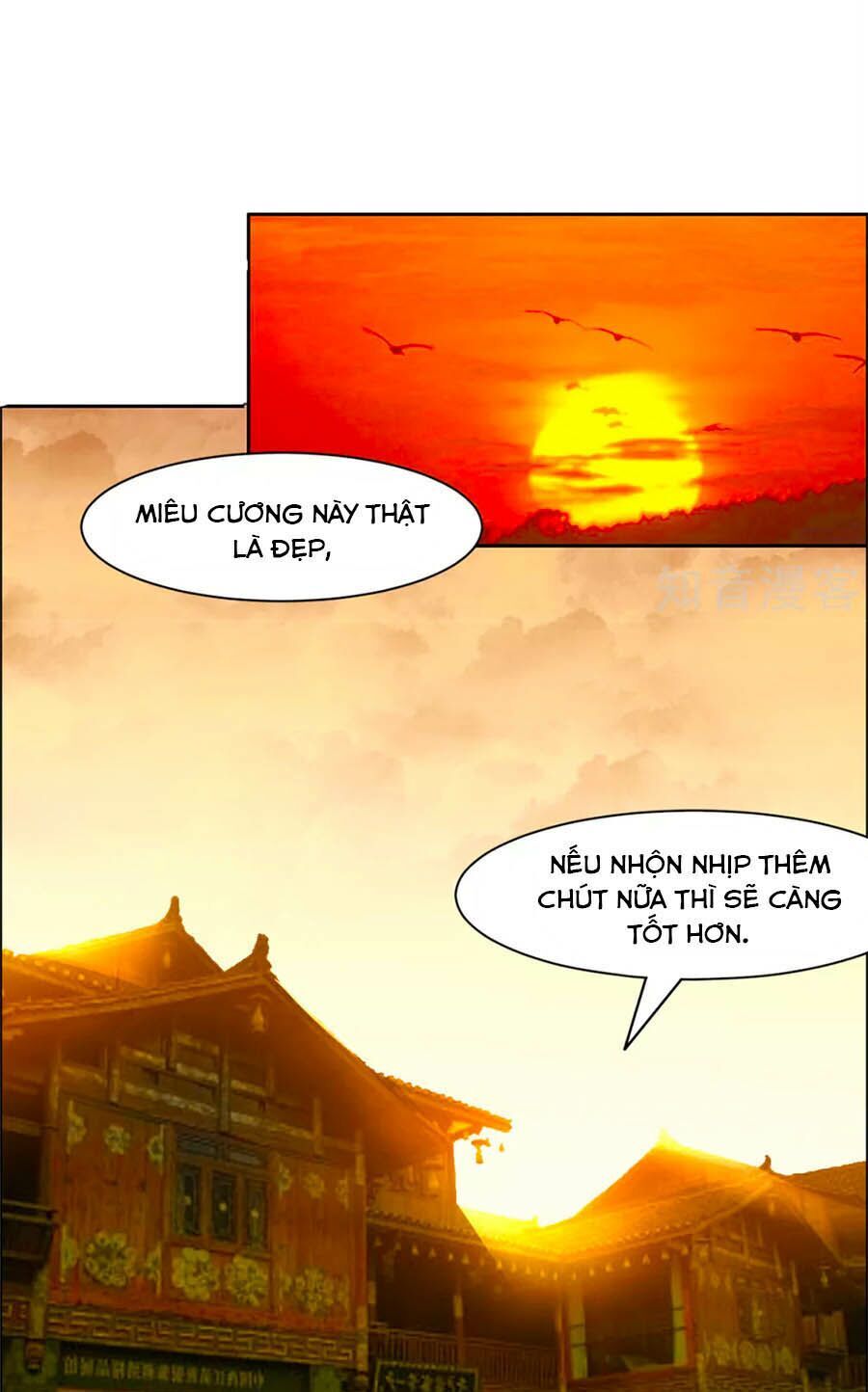 Vương Gia Là Đầu Đại Lão Hổ Chapter 104 - 5