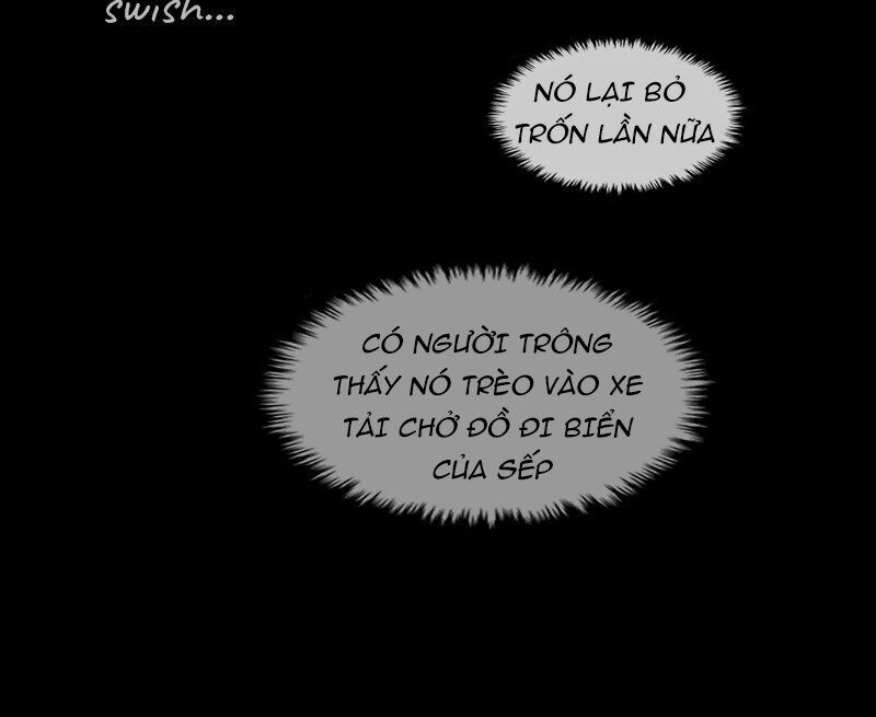 Nửa Đêm Ở Poppy Land Chapter 48 - 49