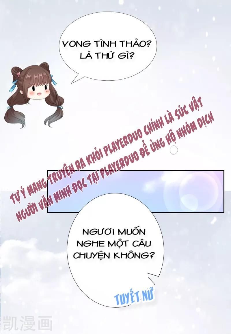 Sư Phụ, Cái Kia Ăn Ngon! Chapter 46 - 13