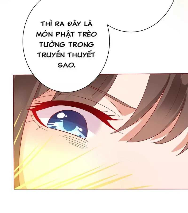 Sư Phụ, Cái Kia Ăn Ngon! Chapter 5 - 46