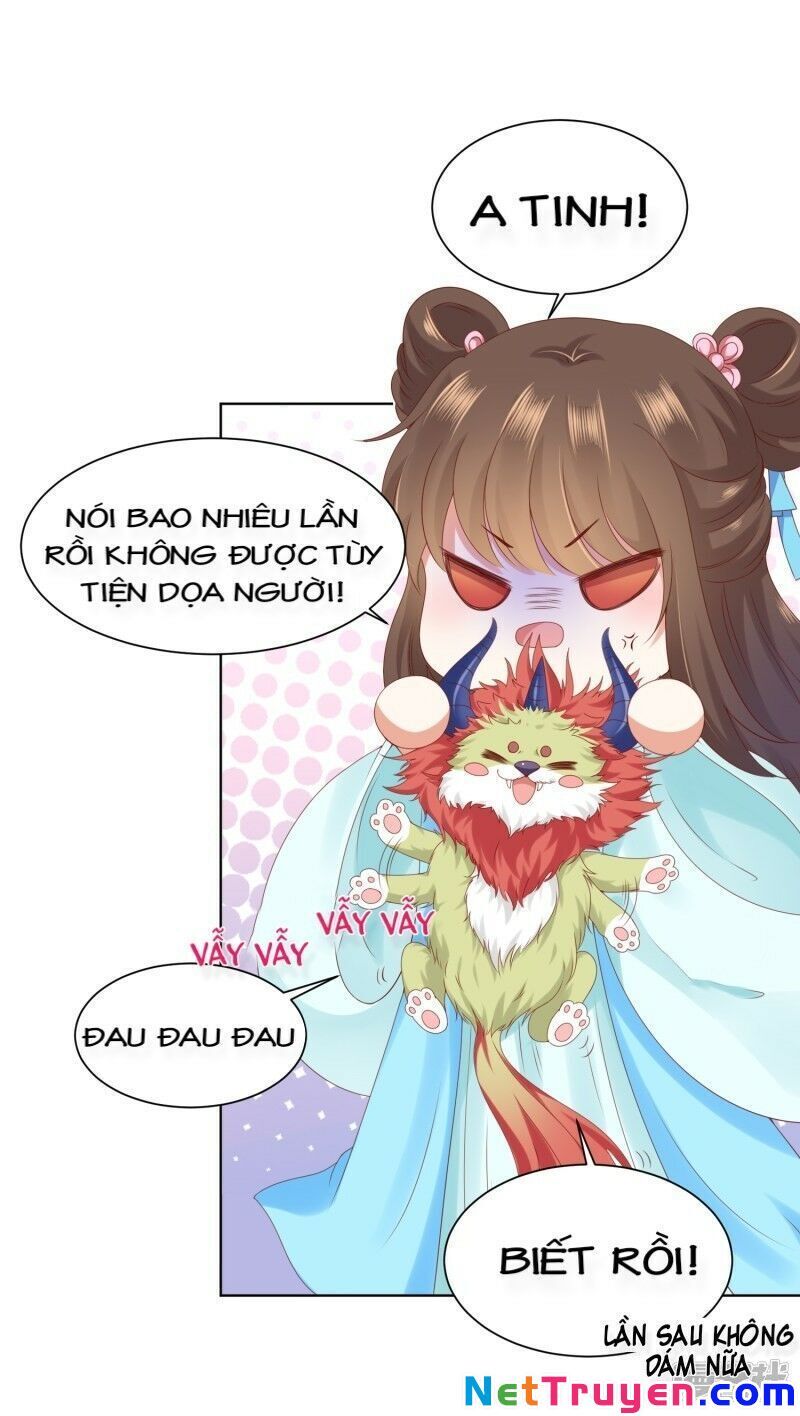 Sư Phụ, Cái Kia Ăn Ngon! Chapter 58 - 5