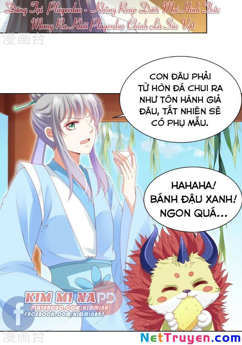 Sư Phụ, Cái Kia Ăn Ngon! Chapter 61 - 11