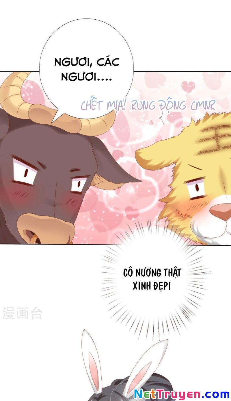 Sư Phụ, Cái Kia Ăn Ngon! Chapter 64 - 21