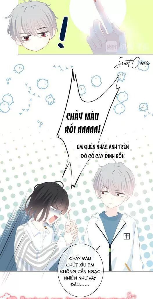 Vấp Phải Nghịch Quang Chapter 30 - 24