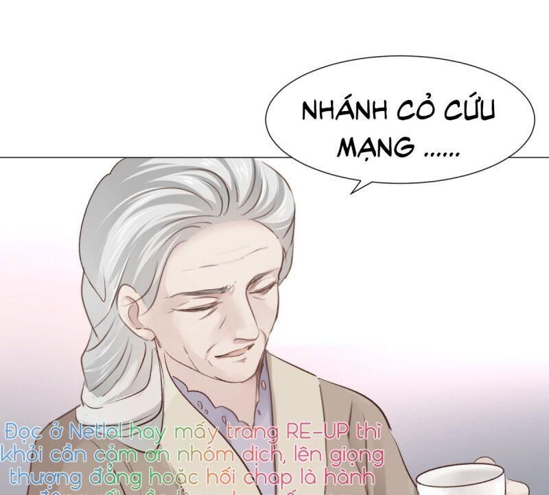 Điều Giáo Gấu Bắc Cực Chapter 53 - 49