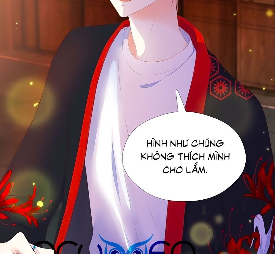 Đóa Hoa Chớm Nở Chapter 71 - 7