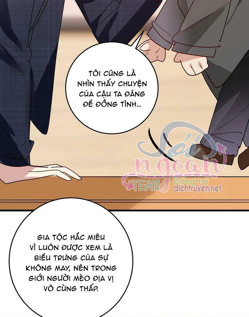 Em Là Bạc Hà Mèo Của Tôi Chapter 48 - 15