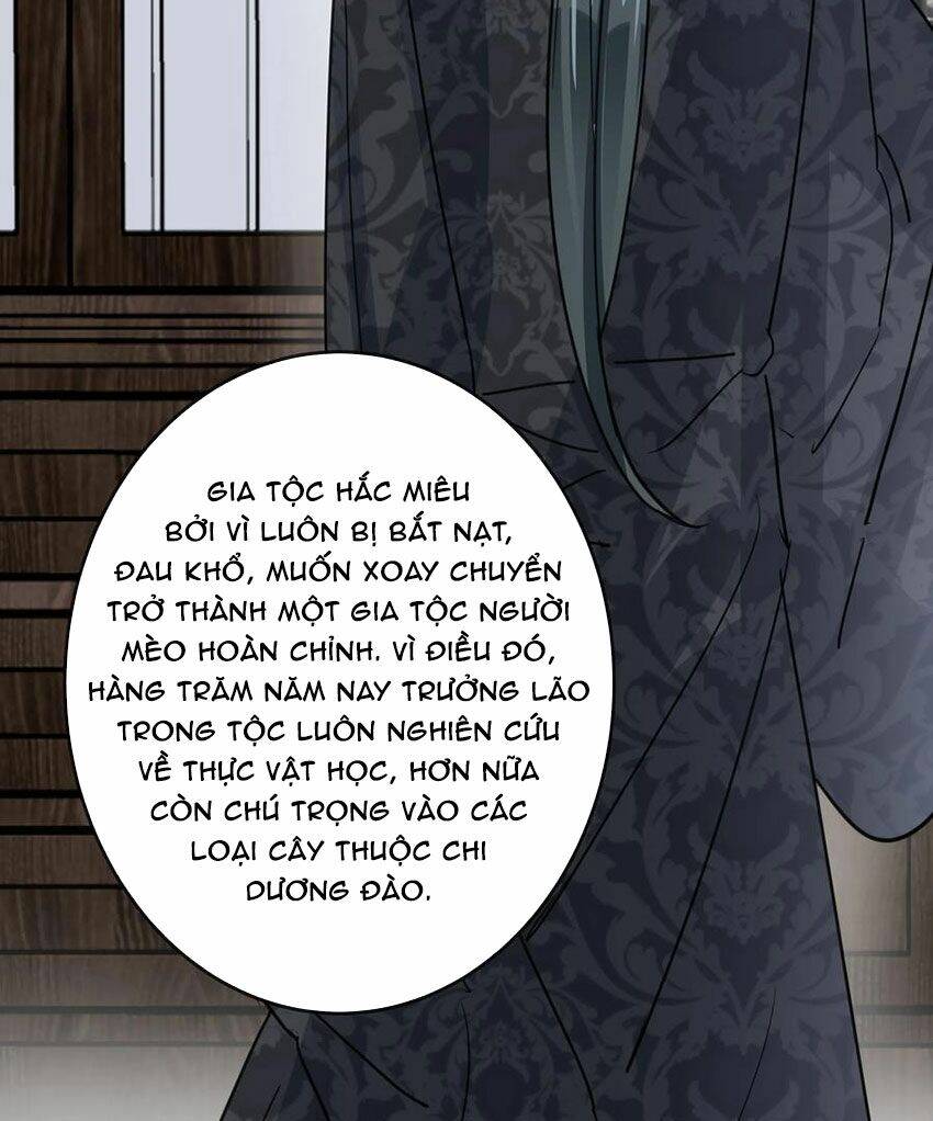 Em Là Bạc Hà Mèo Của Tôi Chapter 49 - 22