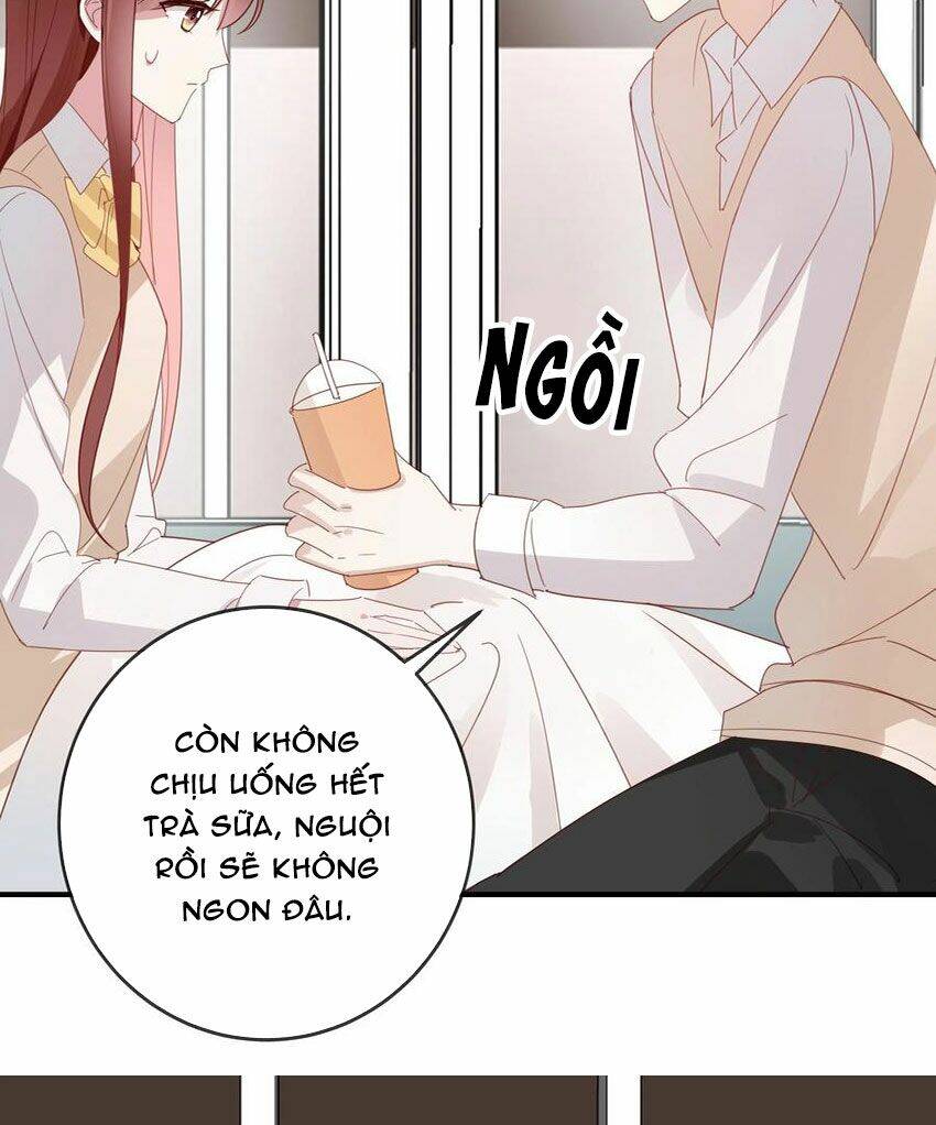 Em Là Bạc Hà Mèo Của Tôi Chapter 49 - 7