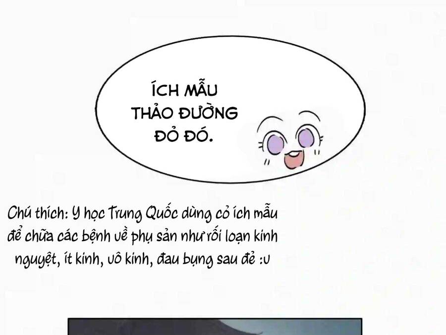 Nghịch Tập Chi Hảo Dựng Nhân Sinh Chapter 216 - 31