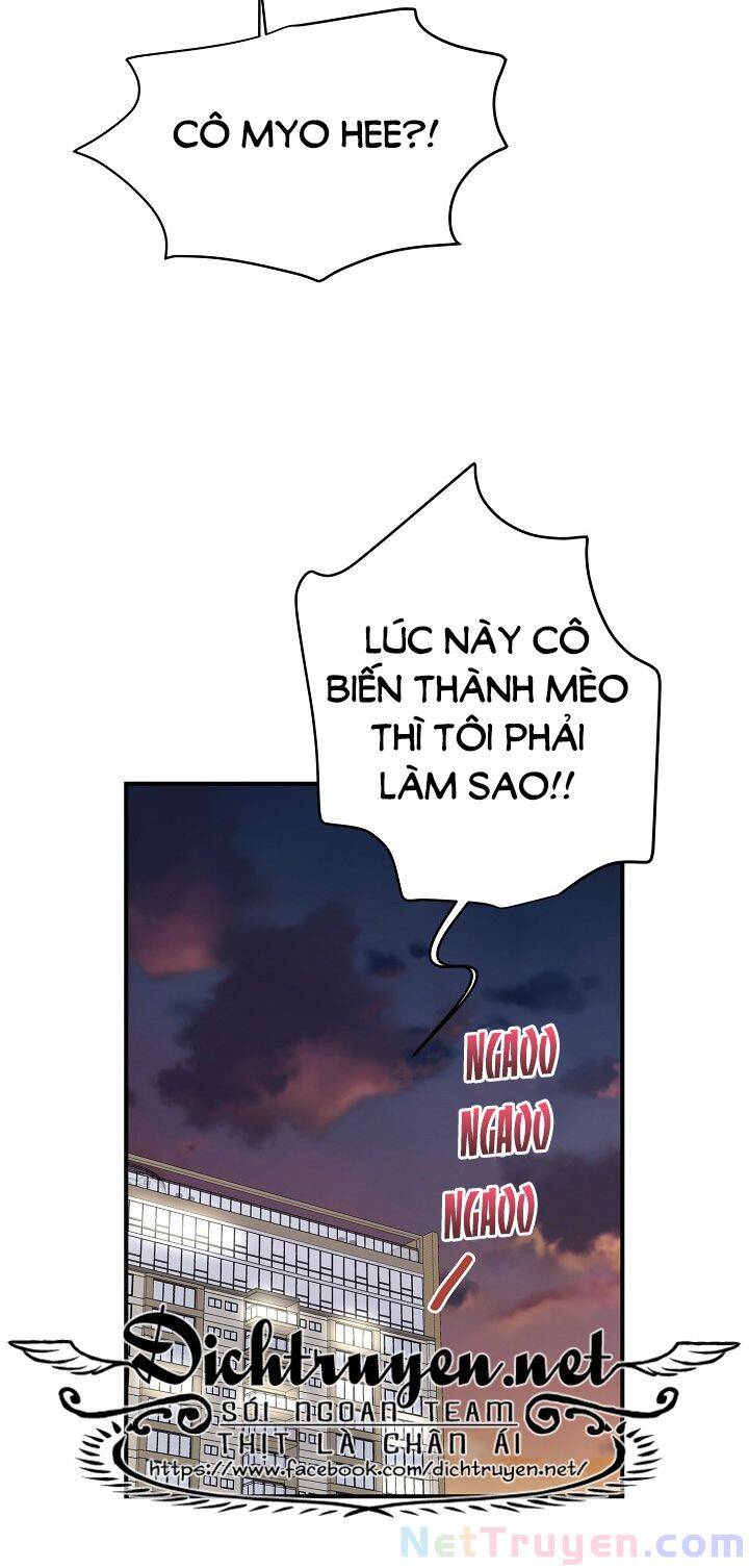 Một Cuộc Sống Kỳ Lạ Chapter 34 - 65