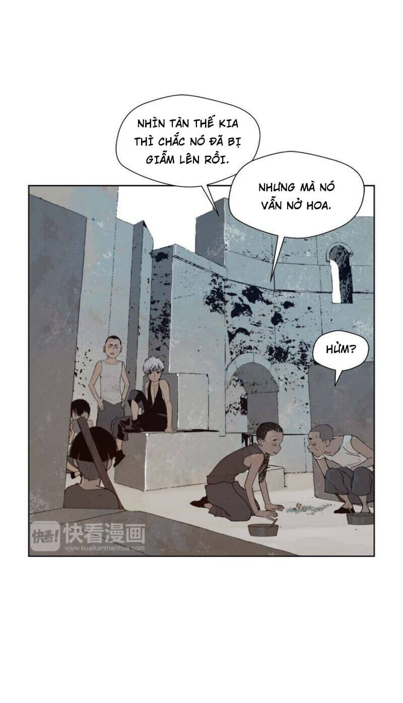 Vinh Quang Kiếm Chapter 31 - 30