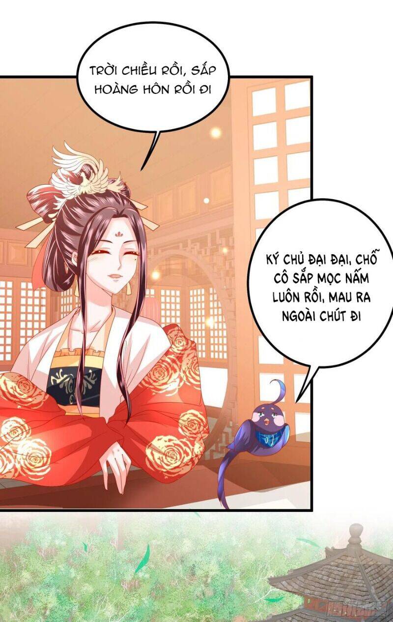 Ta Phải Làm Hoàng Hậu Chapter 29 - 32