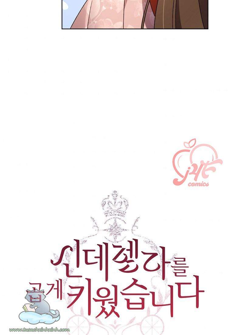 Tôi Trở Thành Mẹ Kế Của Cinderella Chapter 55 - 4