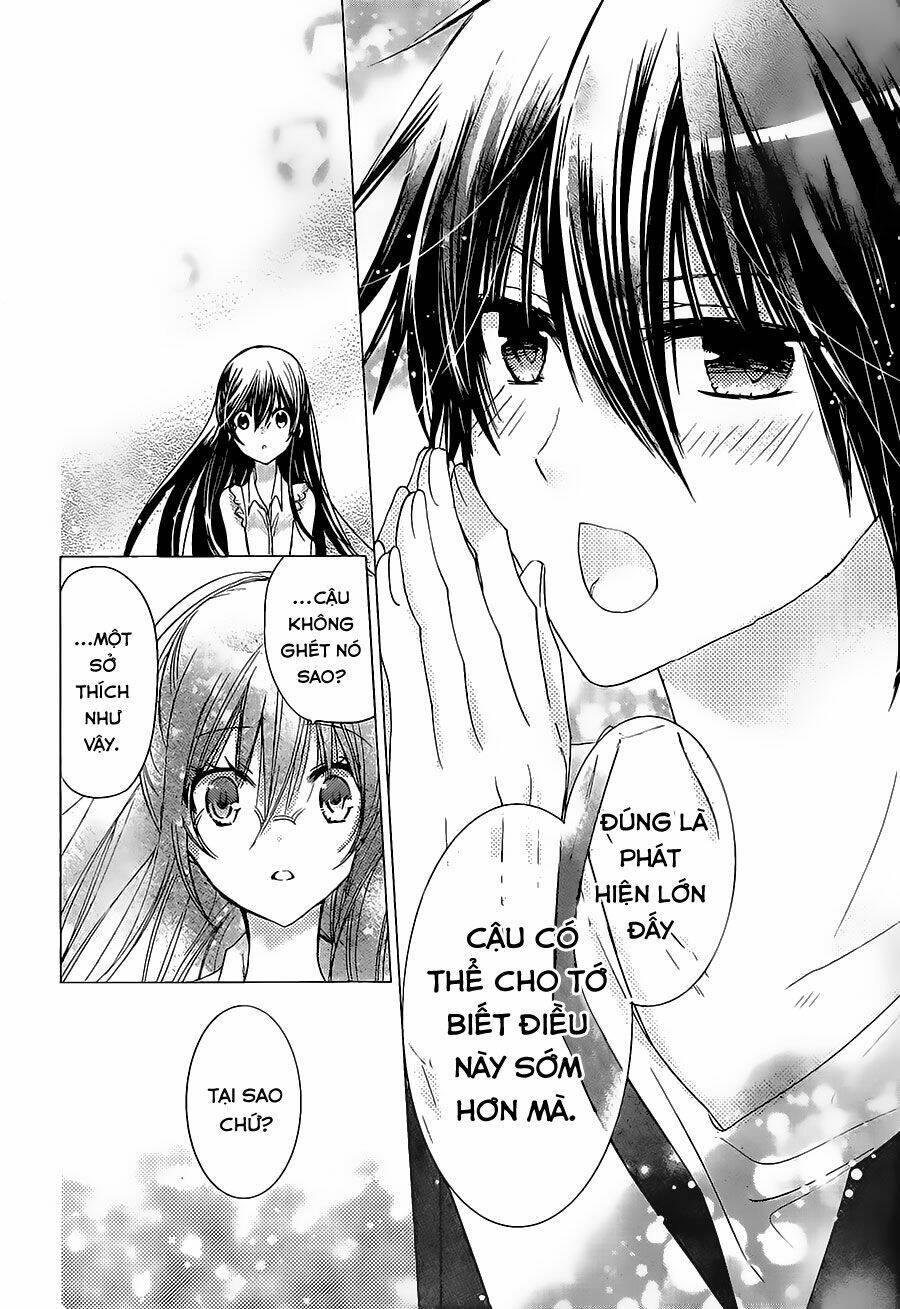 Watashi Ni Xx Shinasai! Chapter 66 - 23