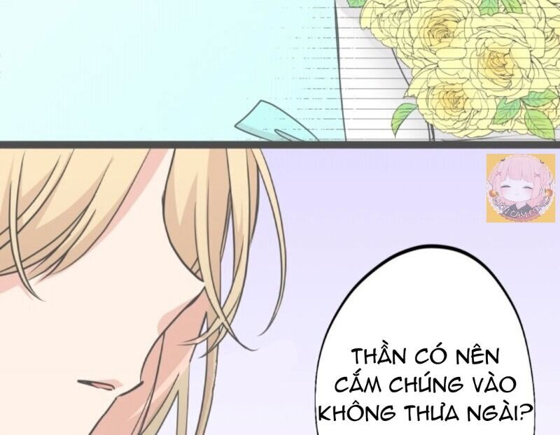 Trở Thành Nữ Kiếm Sĩ Hoàng Gia Ở Thế Giới Khác Chapter 8 - 17