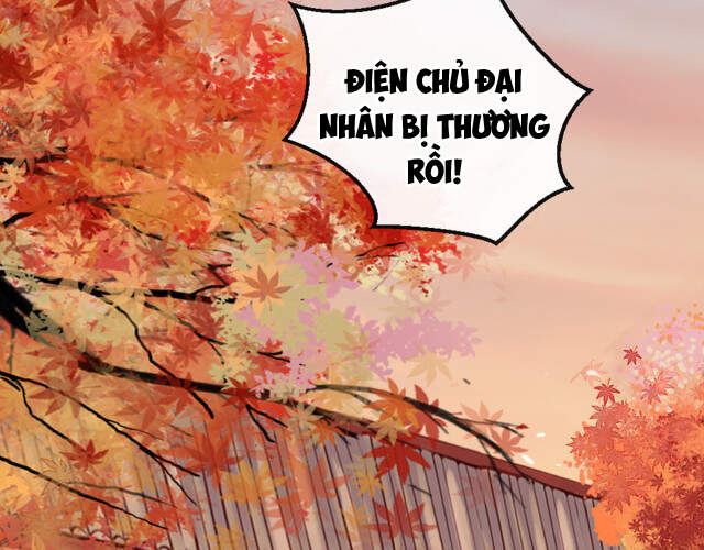 Mau Xuyên Không Rửa Tội Cho Nhân Vật Phản Diện Chapter 11 - 4