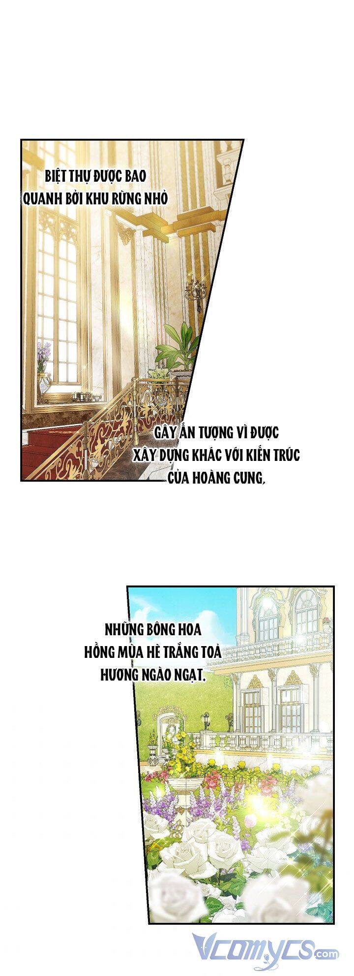 Lần Nữa Toả Sáng Chapter 36 - 21