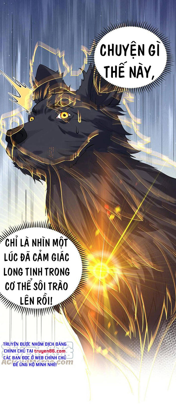 Ta Vô Địch Lúc Nào Chapter 37 - 14