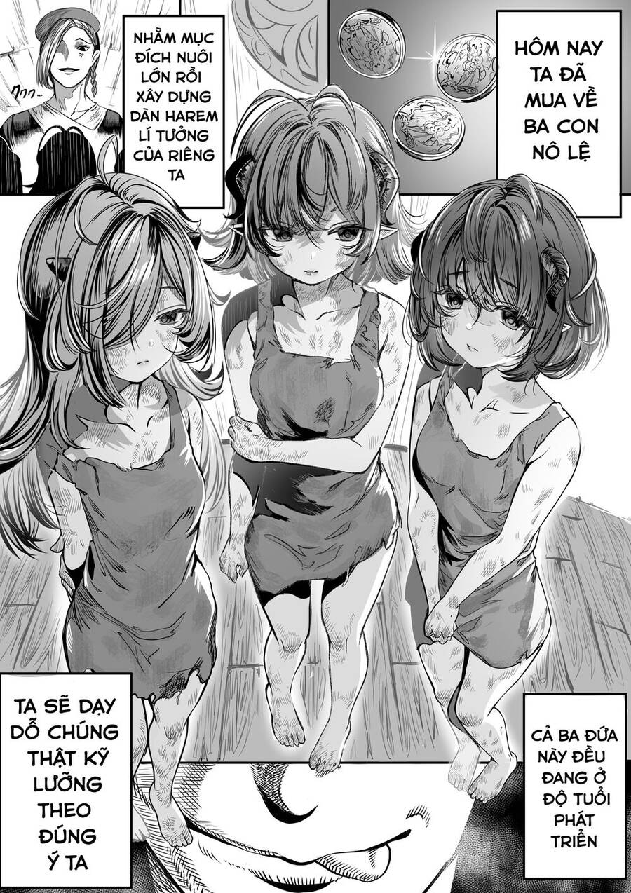 Training Slaves To Make A Harem Chapter 1 - 2