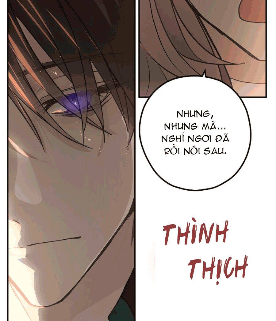 Lời Thú Nhận Nhầm Lẫn Chapter 51 - 70