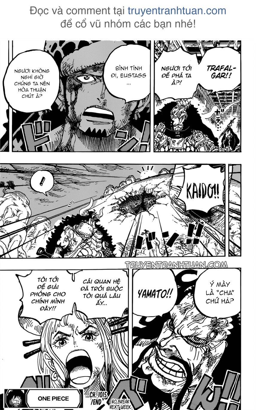 One Piece Chapter 1015 - 15