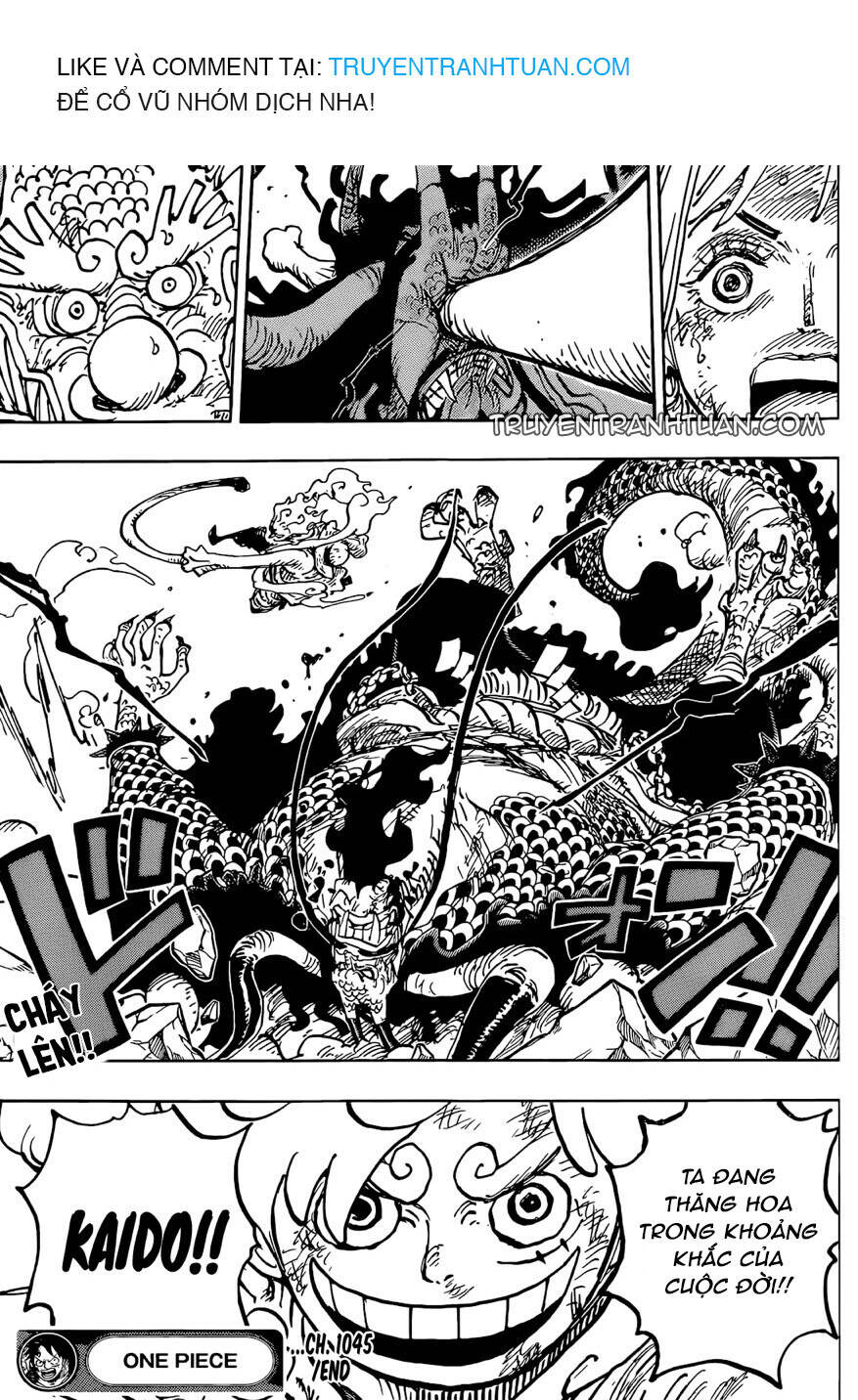 One Piece Chapter 1045 - 17