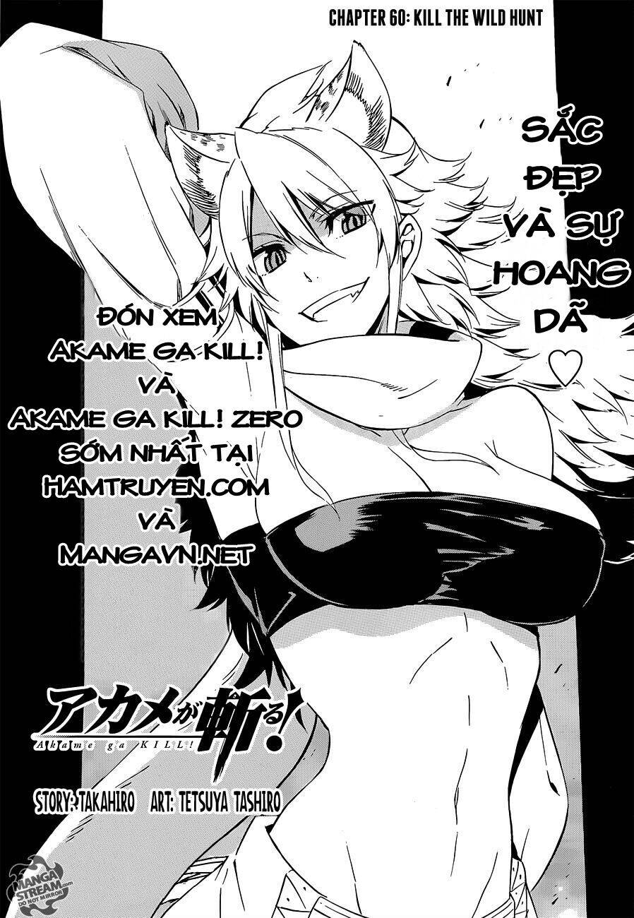 Akame Ga Kiru Chapter 60 - 3