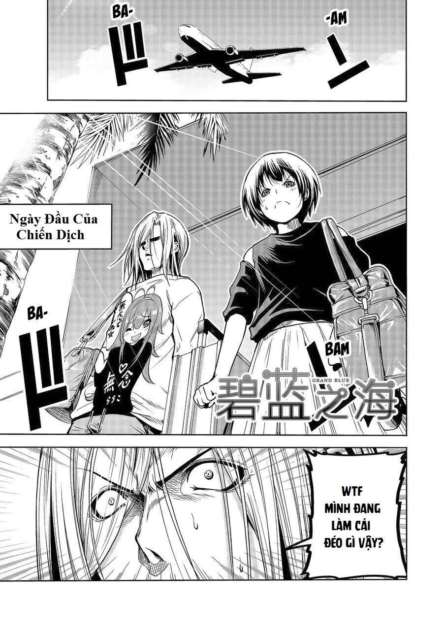 Grand Blue - Cô Gái Thích Lặn Chapter 64 - 1