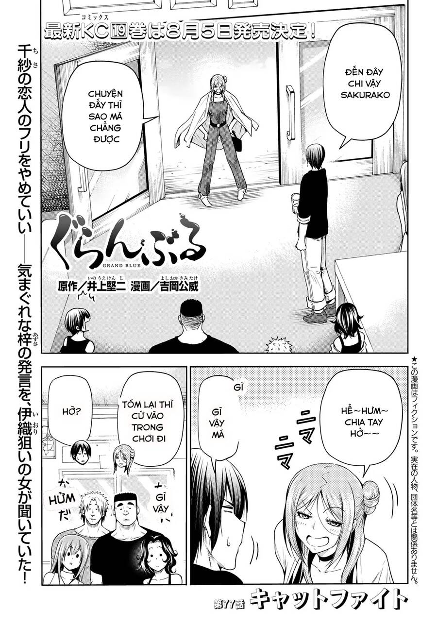 Grand Blue - Cô Gái Thích Lặn Chapter 77 - 3