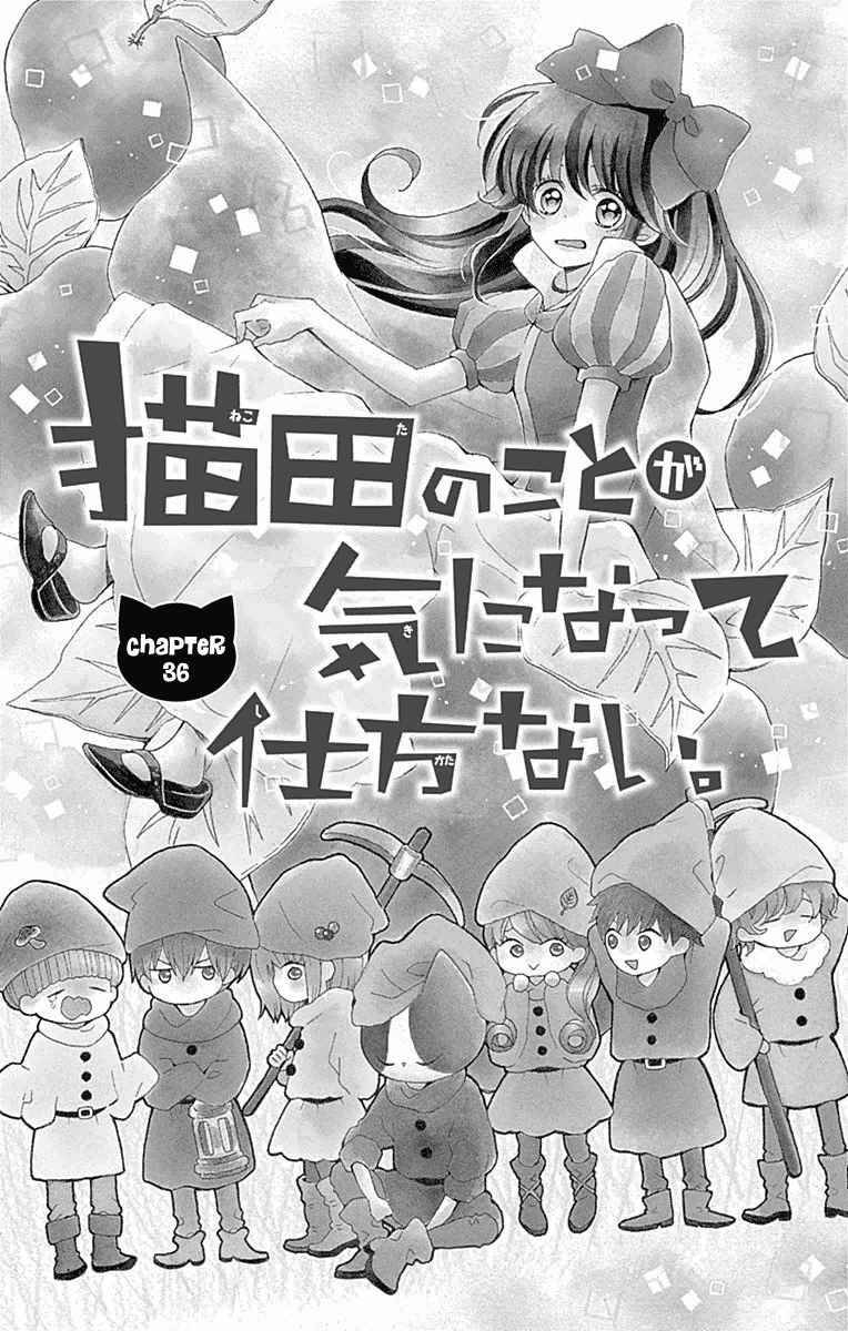 Nekota No Koto Ga Ki Ni Natte Shikatanai Chapter 36 - 1